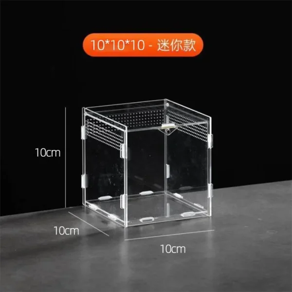 Reptile Terrarium Habitat Breeding Box Acrylic Transparent Reptiles Cage Nano Arboreal Tarantula Enclosure Dearded Dragon 파충류 - Image 9