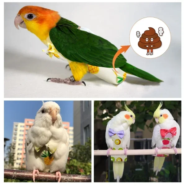 Parrot Pigeon Diaper Flight Suit Bird Nappy Parrot Clothes for Green Cheek Parakeet Cockatiel Conure Small Medium Birds - Image 5