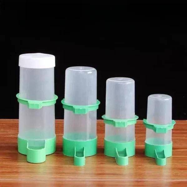 Water Feeder Parrot Automatic Feeder Bird Food Box Bird Accessories for Bird Cages  Poultry Feeder - Image 2