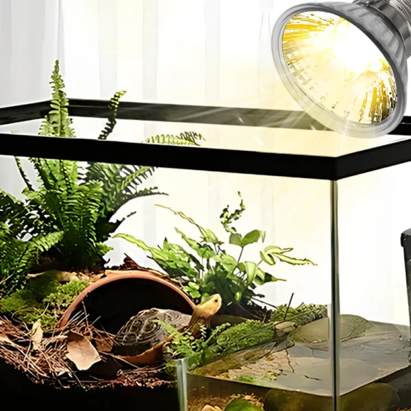 4/2/1Pcs Tortoise Lizard Basking Lamp 25W 50W 75W Pet Heating E27 Bulb Chameleon Snake Turtle Reptile Heating Light UVA Sunlight - Image 4