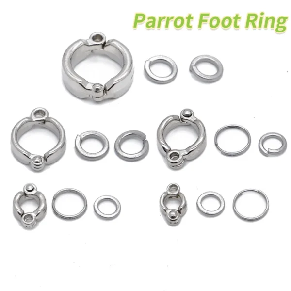 Parrot Leg Ring Stainless Steel Bird Ankle Foot Chain Ring Anti Bite Wire Rope Outdoor Flying Training Accessories Pigeon Supply - Image 2