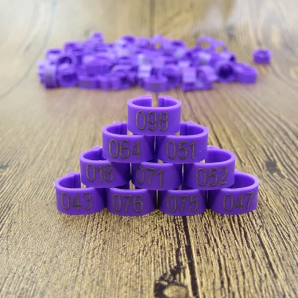 100pcs Bird Clip Ring ID 8mm Plastic Digital Markup Parrot Pigeons 10 Colors Marking Ring 8mm Bird Training Foot Ring 001-100 - Image 7