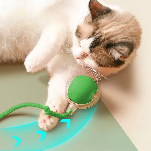 Cat Interactive Ball Toy Automatic Rolling Ball Faux Tail Smart Pet Electric Toy Cat Training Imitate Mouse Toy Pet Supplies - Image 2