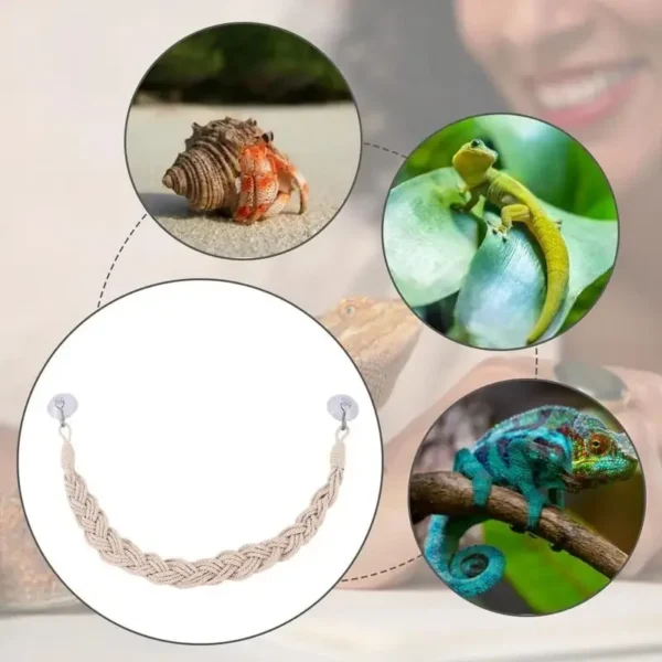 Lizards hammock  Hermit Crab Hammock Climber Lizard Lounger Climbing Swing Hermit Crab Climbing Jute Rope Ladder Reptile Toys - Image 4