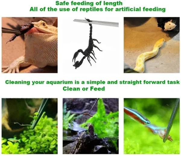 48cm Stainless Steel Tweezers Fish Tank Aquatic Plants Aqaurium Tool Water Plant Curved Pliers Birds Reptile Feeding Tongs - Image 5