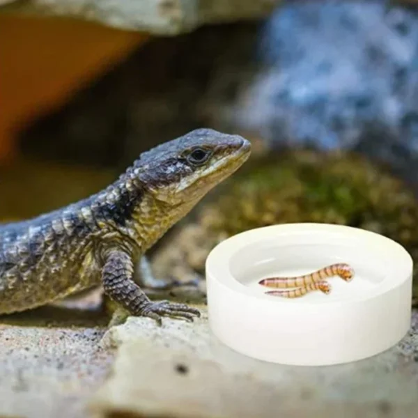 Reptile Food Bowl Anti-Escape Ceramic Feeder Dish Reptile Water Bowl for Hermit Crab Leopard Gecko Chameleon Corn Snake Y5GB - Image 3