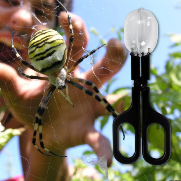 Reptile Terrarium Lizards Plastic Tongs Tweezers Pet Raising Feeding Tool Clip Children School Plant Insect Biology Study Tool - Image 5