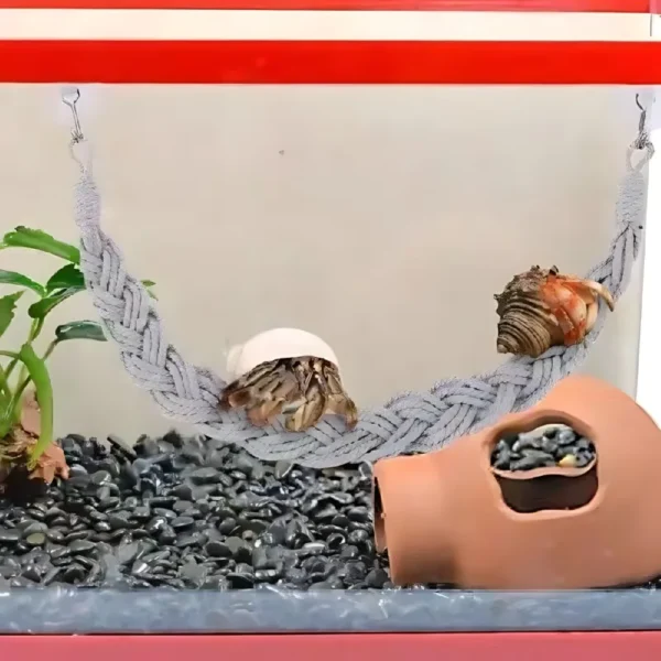 Lizards hammock  Hermit Crab Hammock Climber Lizard Lounger Climbing Swing Hermit Crab Climbing Jute Rope Ladder Reptile Toys - Image 6