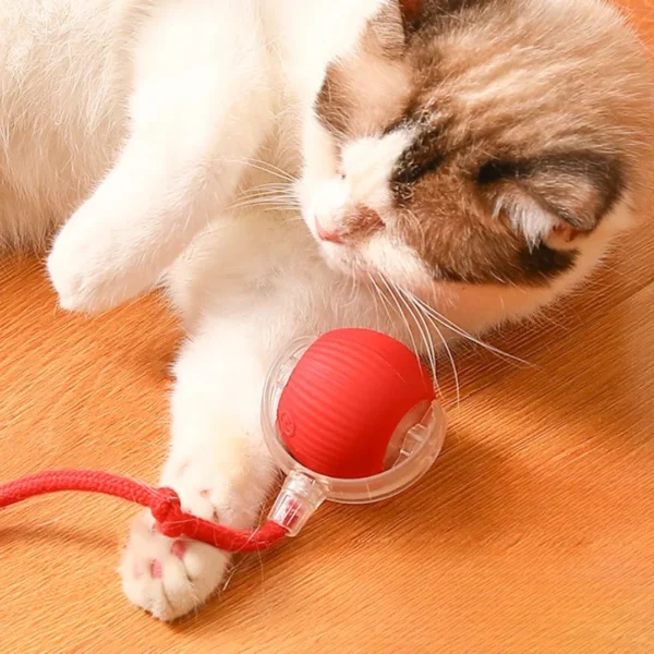 Cat Interactive Ball Toy Automatic Rolling Ball Faux Tail Smart Pet Electric Toy Cat Training Imitate Mouse Toy Pet Supplies - Image 5