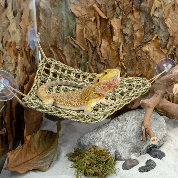 Bearded Dragon Hammock Reptile Lounger for Chameleon Lizards Gecko Snakes Lguana Reptiles Geckos Grass Cushion Pet Bed Swing - Image 5