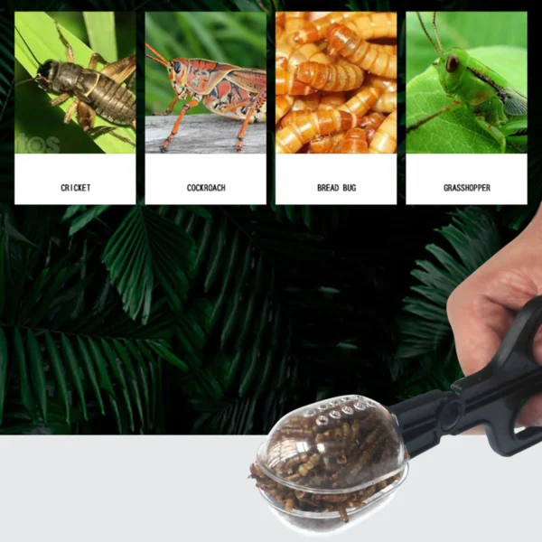 Reptile Terrarium Lizards Plastic Tongs Tweezers Pet Raising Feeding Tool Clip Children School Plant Insect Biology Study Tool - Image 6