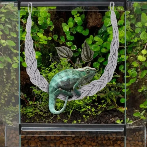 Lizards hammock  Hermit Crab Hammock Climber Lizard Lounger Climbing Swing Hermit Crab Climbing Jute Rope Ladder Reptile Toys - Image 2