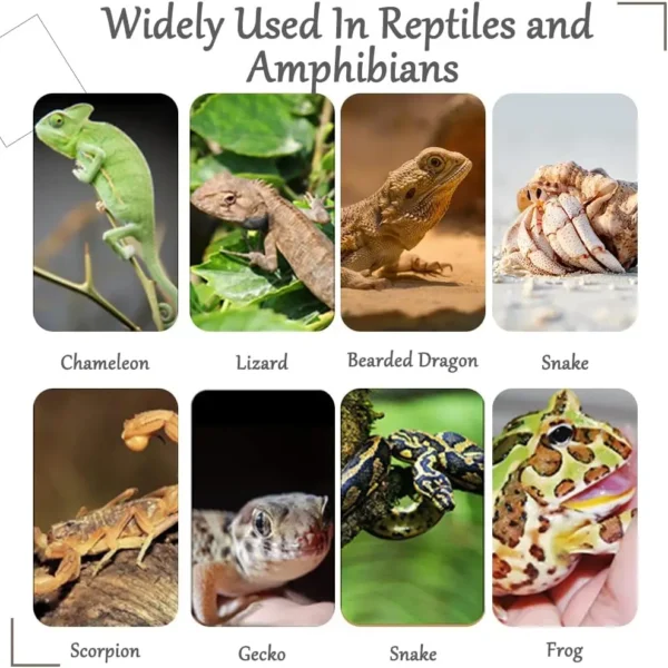 Flexible Plastic Leaves Hanging for Reptile Plants,Bendable Jungle Climbing Vine,Pet Terrarium Decor,Bearded Lizard Gecko Frog - Image 6